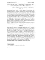 KHẢ NĂNG HẤP PHỤ LÂN TRÊN ĐẤT TRỒNG RAU MÀU CHỦ YẾU Ở ĐỒNG BẰNG SÔNG CỬU LON docx