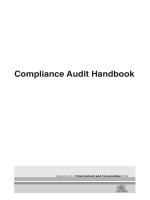 Compliance Audit Handbook pptx