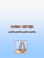 CHƯƠNG 1: GIỚI THIỆU pot