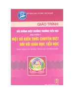 Giáo trình bồi dưỡng hiệu trưởng trường tiểu học tập 5 pptx