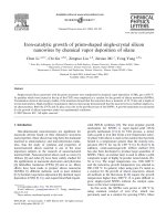 Iron catalytic growth of prism shaped single crystal silicon nanowires by chemical vapor deposition of silane