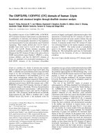 Báo cáo khoa học: The CRIPTO/FRL-1/CRYPTIC (CFC) domain of human Cripto Functional and structural insights through disulﬁde structure analysis docx