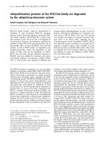 Báo cáo Y học: Antiproliferative proteins of the BTG/Tob family are degraded by the ubiquitin-proteasome system docx