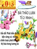 Vấn đề: Phát triển đô thị bền vững và những chiến lược phát triển đô thị hóa trong tương lai docx
