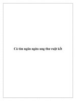 Cà tím ngăn ngừa ung thư ruột kết pdf