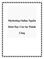Marketing Online Nguồn Khơi Dạy Của Sự Thành Công potx