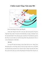 Chiến tranh Tống-Việt năm 981 pot