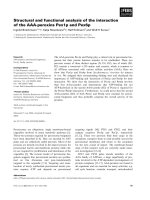 Báo cáo khoa học: Structural and functional analysis of the interaction of the AAA-peroxins Pex1p and Pex6p pptx