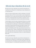 Kiểm toán công ty chứng khoán, tiền nào của đó potx