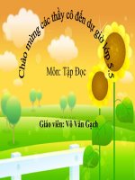 tap doc bai phong canh den hung-gach