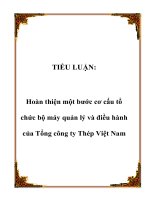 TIỂU LUẬN:Hoàn thiện một bước cơ cấu tổ chức bộ máy quản lý và điều hành của Tổng công ty Thép Việt Nam potx
