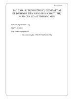 báo cáo sử dụng công cụ geospattial để đánh giá tiềm năng sinh khối từ phụ phẩm của lúa ở tỉnh bắc ninh