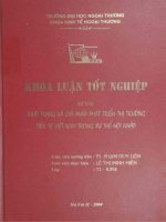 thực trạng và giải pháp phát triển thị trường tiền tệ việt nam trong xu thế hội nhập