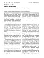 Báo cáo Y học: Amyloid-ﬁbril formation Proposed mechanisms and relevance to conformational disease docx