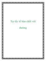 Tự tẩy tế bào chết với đường ppt