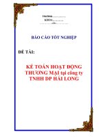 KẾ TOÁN HOẠT ĐỘNGTHƯƠNG MẠI tại công tyTNHH DP HÁI LONG