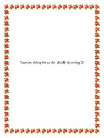 Ca dao dân gian truyền miệng: đề tài xuất giá pot