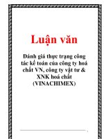 Luận văn: Đánh giá thực trạng công tác kế toán của công ty hoá chất VN, công ty vật tư & XNK hoá chất (VINACHIMEX) pot