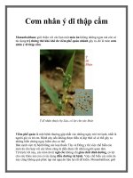 Cơm nhân ý dĩ thập cẩm pptx