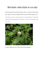 Bài thuốc chữa bệnh từ rau dệu docx