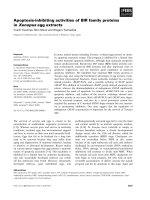 Báo cáo khoa học: Apoptosis-inhibiting activities of BIR family proteins in Xenopus egg extracts ppt