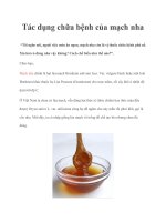 Tác dụng chữa bệnh của mạch nha doc