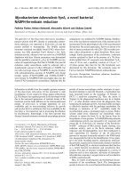 Báo cáo Y học: Mycobacterium tuberculosis FprA, a novel bacterial NADPH-ferredoxin reductase docx