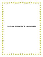 Những biểu tượng của tiền tài trong phong thủy ppt