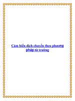 Cảm biến dịch chuyển theo phương pháp từ trường pdf
