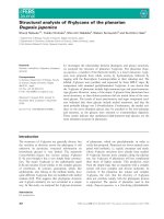 Báo cáo khoa học: Structural analysis ofN-glycans of the planarian Dugesia japonica. ppt