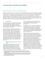 Central banks and financial stability pot