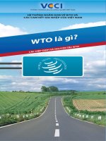 Hệ thống ngắn gọn về WTO và các cam kết gia nhập của Việt Nam potx