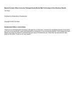 Beyond the Aisle: Where Consumer Packaged Goods Brands Meet Technology to Drive Business Results potx