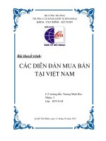 Tiểu luận:Các diễn đàn mua bán tại Việt Nam pdf