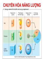 CHUYỂN HÓA NĂNG LƯỢNG docx