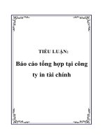 TIỂU LUẬN: Báo cáo tổng hợp tại công ty in tài chính potx
