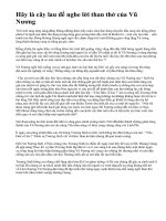 Hãy là cây lau để nghe lời than thở của Vũ Nương