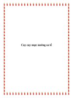 Cay cay mực nướng sa tế docx