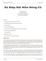 Sò Điệp Đội Nấm Đông Cô doc