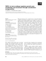 Báo cáo khoa học: TRPV1 at nerve endings regulates growth cone morphology and movement through cytoskeleton reorganization ppt