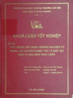 Thực trạng ứng dụng thương mại điện tử trong các doanh nghiệp vừa vả nhỏ Việt Nam và giải pháp phát triển