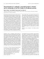 Báo cáo khoa học: Characterization of a cathepsin L-associated protein in Artemia and its relationship to the FAS-I family of cell adhesion proteins pot