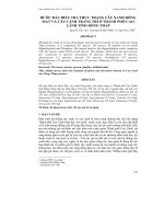 BƯỚC ĐẦU ĐIỀU TRA THỰC TRẠNG CÂY XANH BÓNG MÁT VÀ CÂY CẢNH TRANG TRÍ Ở THÀNH PHỐ CAO LÃNH TỈNH ĐỒNG THÁP docx