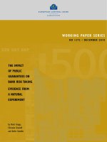 Working PaPer SerieS no 1272 / DeCeMBer 2010: THe iMPaCT of PuBliC guaranTeeS on Bank riSk Taking eviDenCe froM a naTural exPeriMenT pptx