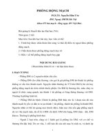 Phồng động mạch pot