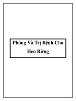 Phòng Và Trị Bệnh Cho Heo Rừng ppt