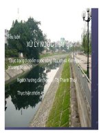 Tểu luận: Thực trạng ô nhiễm nước sông Tô Lịch và Kim Ngưuphương án xử lý pdf