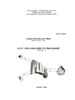 GIÁO TRÌNH VI MẠCH SỐ KHẢ LẬP TRÌNH ppt