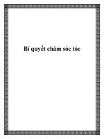 Bí quyết chăm sóc tóc potx