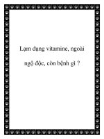 Lạm dụng vitamine, ngoài ngộ độc, còn bệnh gì ? docx